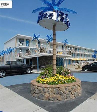 وايلدوود Blue Palms Resort المظهر الخارجي الصورة